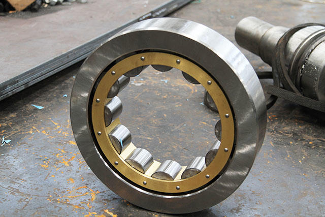 The eccentric shaft and bearing