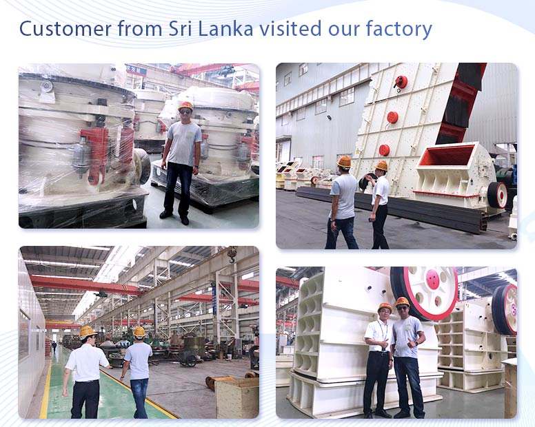 Customer from Sri Lanka visited our factory