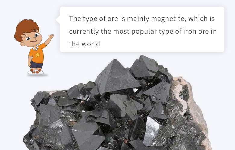 The type of ore is mainly magnetite